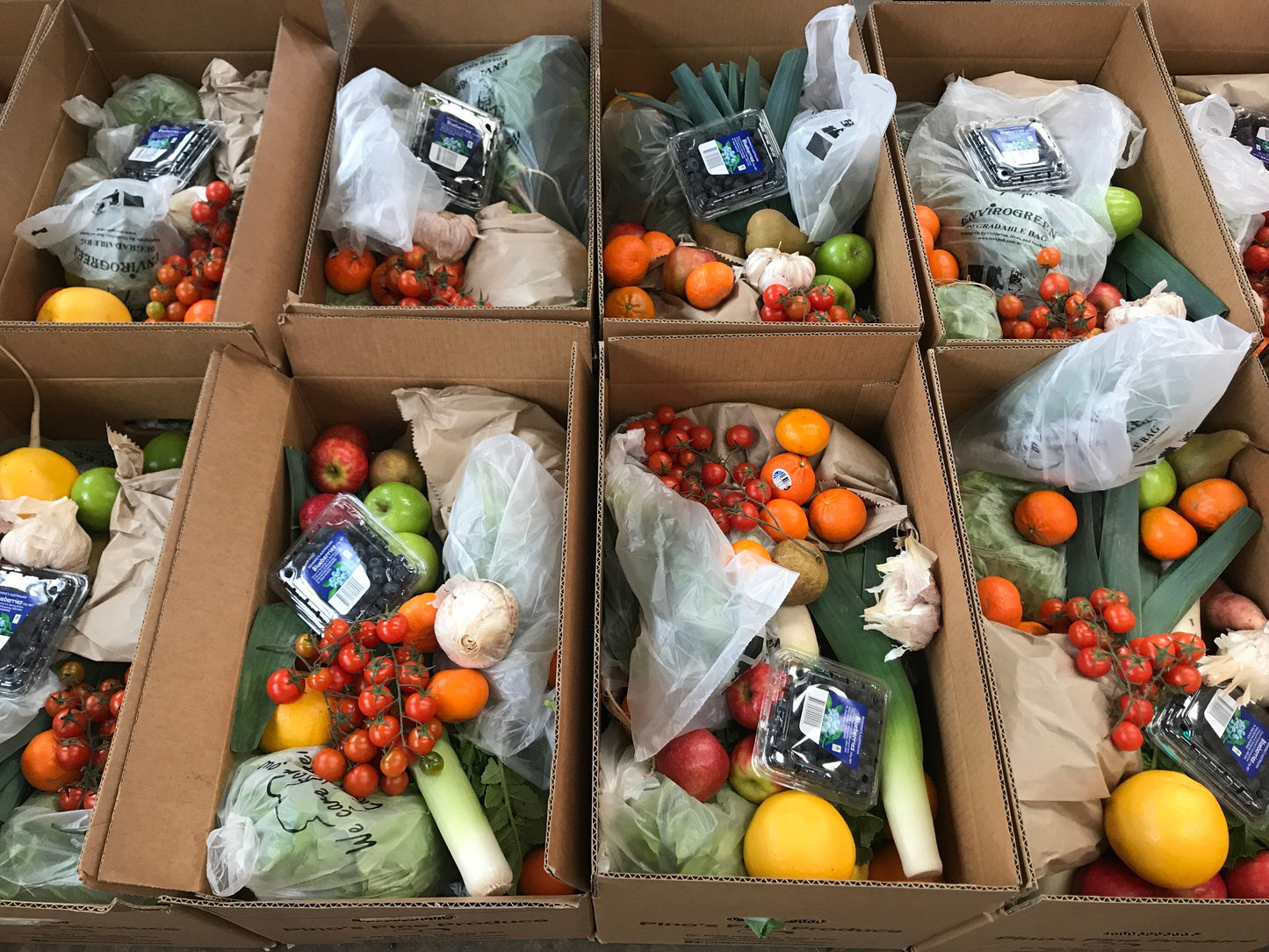 Family Box