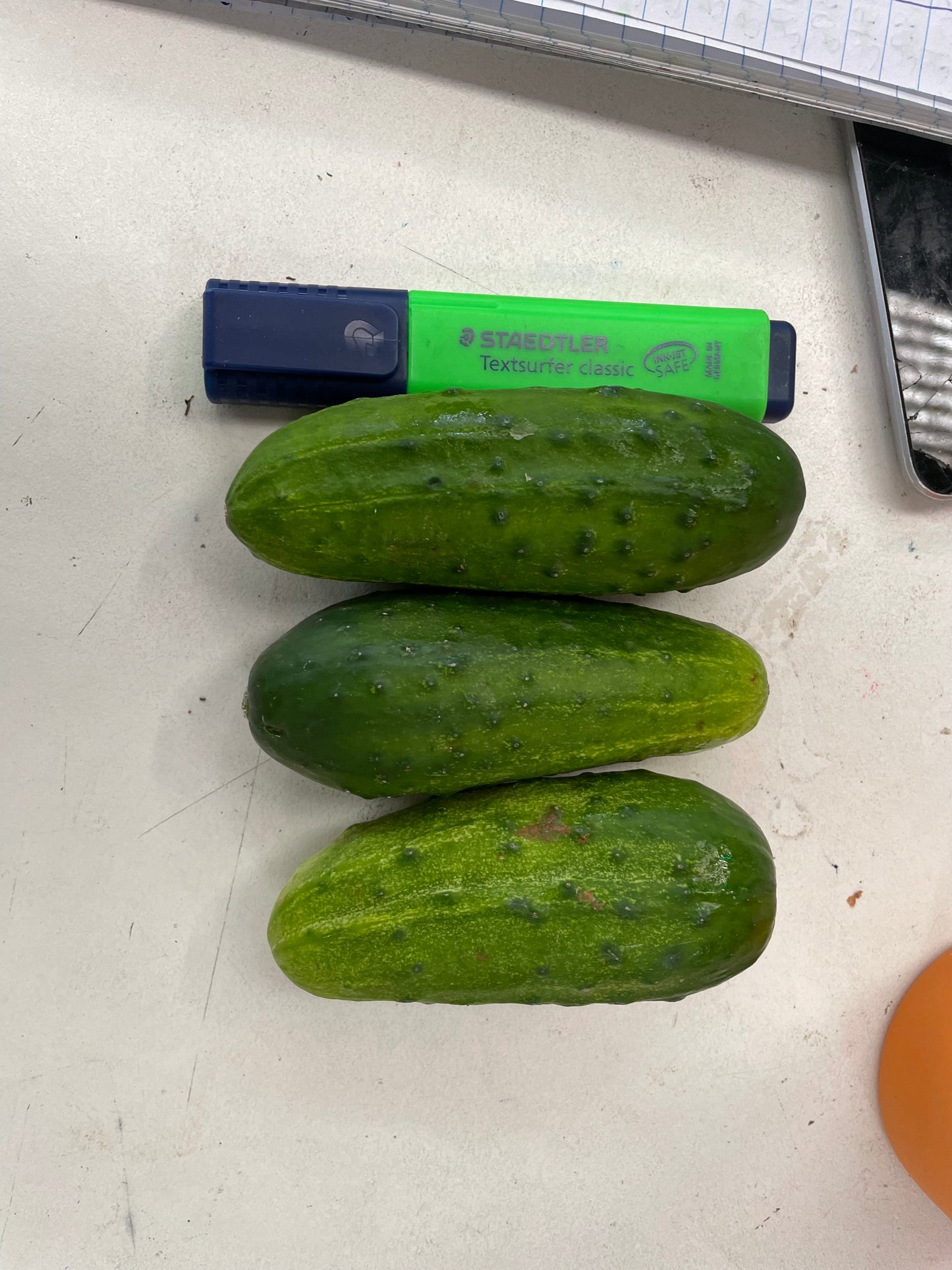 Gherkin 1kg