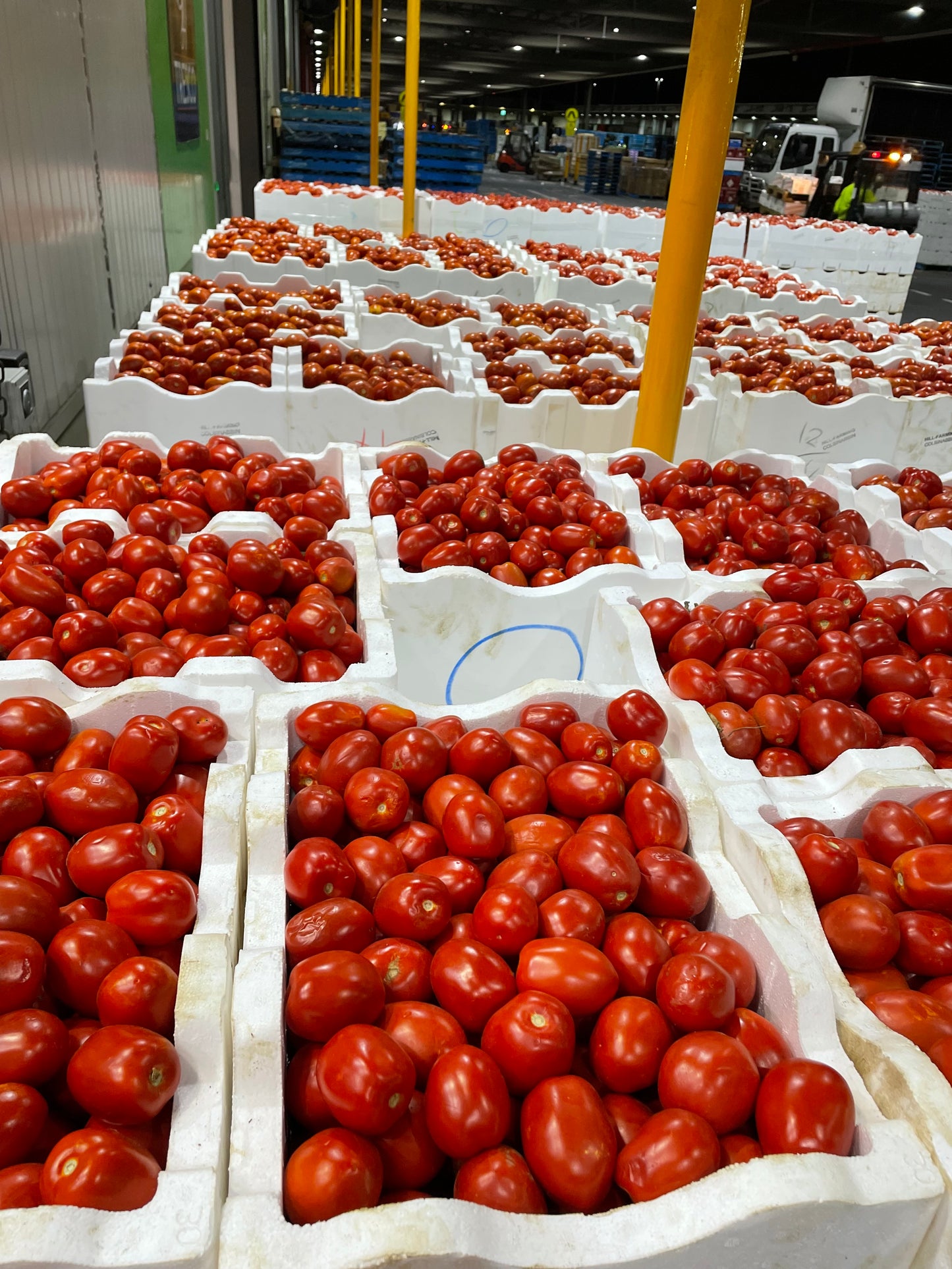 Sauce tomatoes