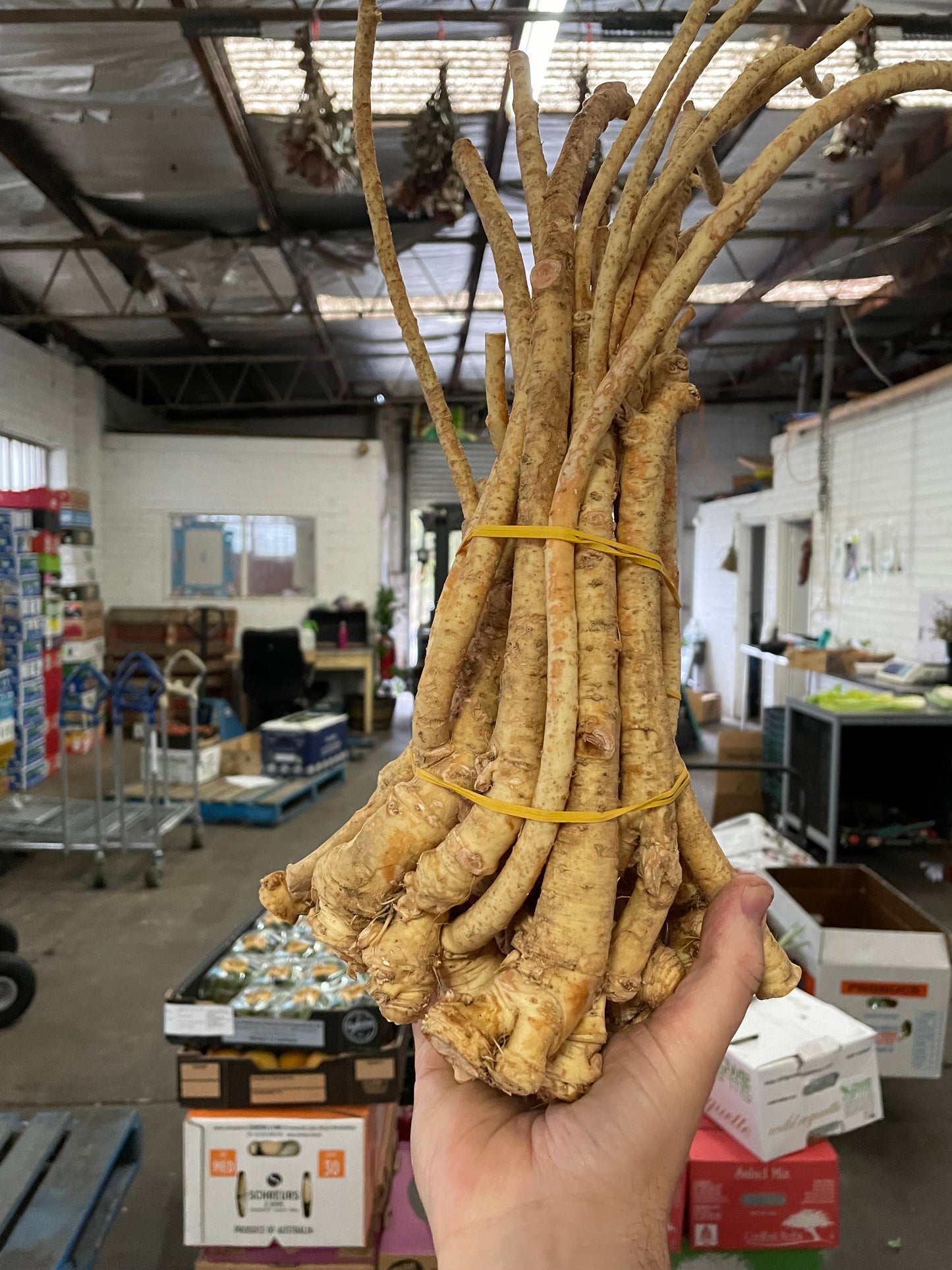 Horseradish 50gm
