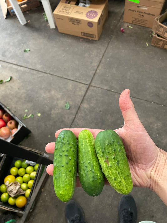 Gherkin 1kg