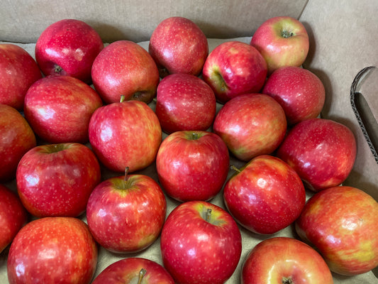 Red apple kg