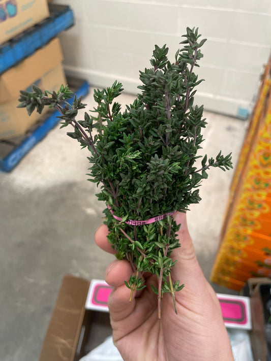 Thyme