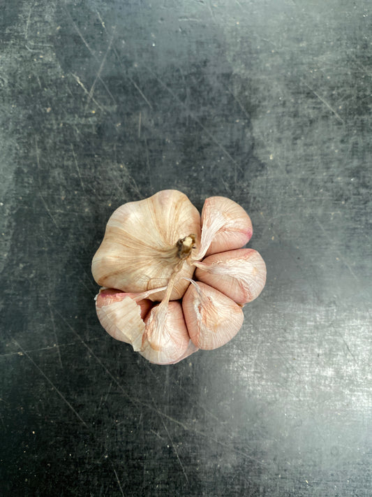 Garlic AUSTRALIAN